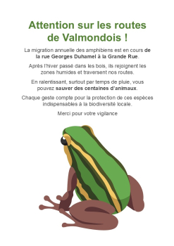 Vigilance Amphibiens